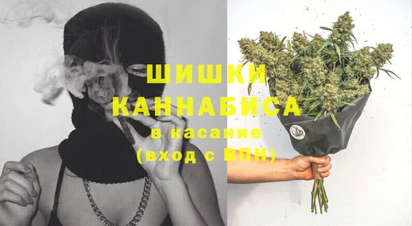 apvp Иннополис