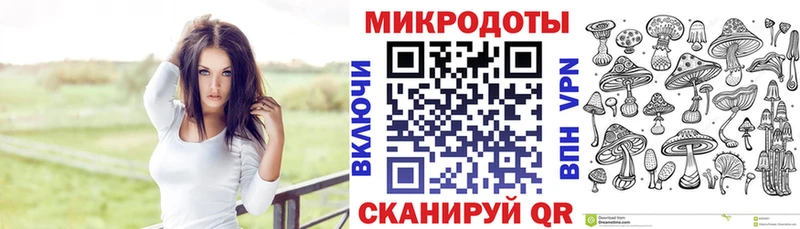 Галлюциногенные грибы Psilocybine cubensis  Городец 