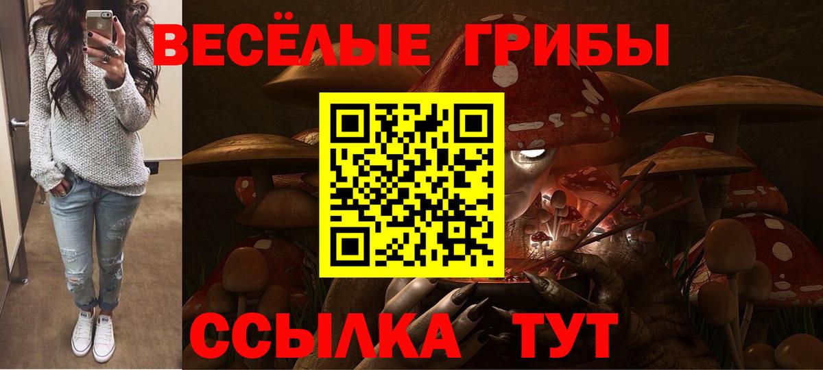 Псилоцибиновые грибы GOLDEN TEACHER Городец